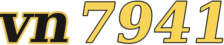 vn7941 logo